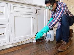 Best Pest Control for Multi-Family Homes  in Southwest Sandhill, TX